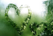 挥戈之战：猛龙再遇骑士，胜者将成为强势一方！